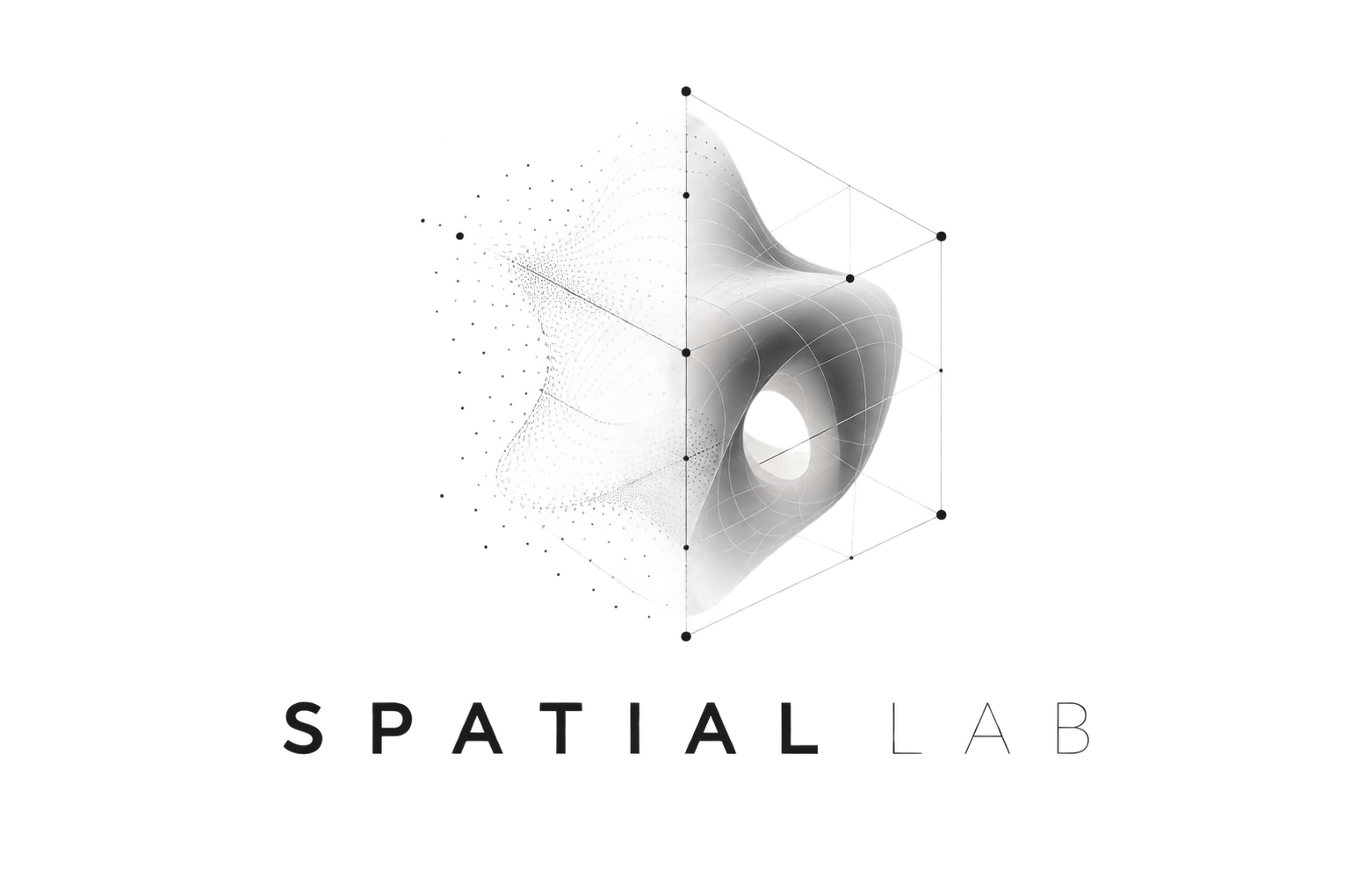Spatial Lab / Spatial Intelligence
